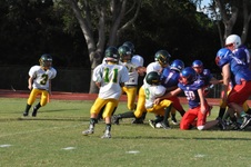 Enlarge photo 203