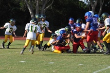 Enlarge photo 204