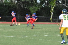 Enlarge photo 215