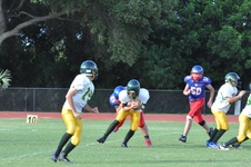 Enlarge photo 224