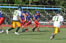 Enlarge photo 251