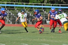 Enlarge photo 256