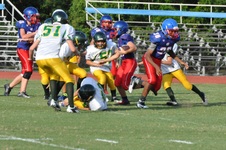 Enlarge photo 258