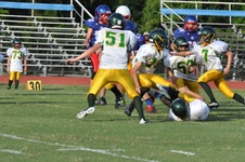 Enlarge photo 259
