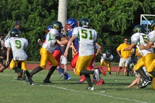 Enlarge photo 262