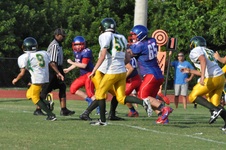 Enlarge photo 263