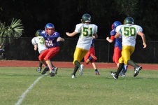 Enlarge photo 268