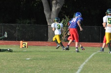 Enlarge photo 270