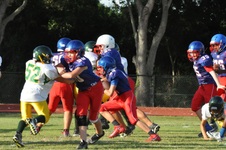 Enlarge photo 304