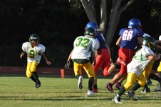 Enlarge photo 306