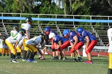 Enlarge photo 316