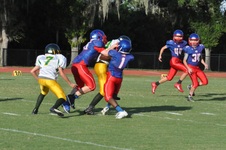 Enlarge photo 317
