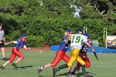 Enlarge photo 324