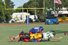 Enlarge photo 329