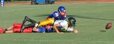 Enlarge photo 330