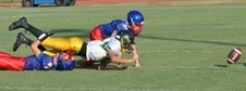 Enlarge photo 331