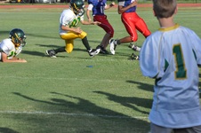 Enlarge photo 333