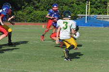 Enlarge photo 375