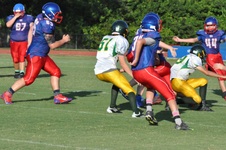 Enlarge photo 377