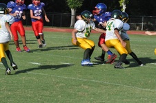 Enlarge photo 383