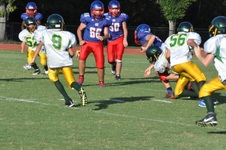 Enlarge photo 384