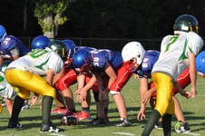 Enlarge photo 393