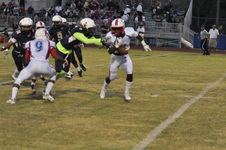 Enlarge photo 15
