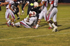 Enlarge photo 54