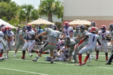 Enlarge photo 230