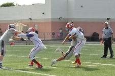Enlarge photo 349
