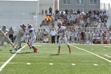 Enlarge photo 695