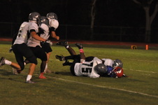 Enlarge photo 24