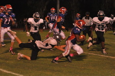 Enlarge photo 93