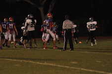 Enlarge photo 120