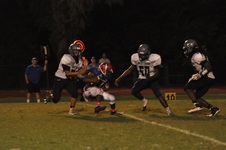 Enlarge photo 130
