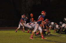 Enlarge photo 135