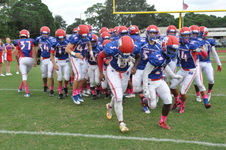 Enlarge photo 172