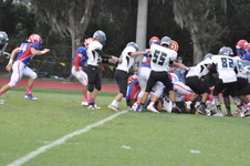 Enlarge photo 190