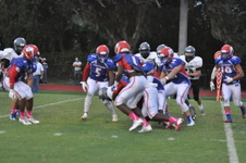 Enlarge photo 203