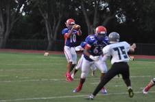 Enlarge photo 213