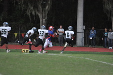 Enlarge photo 218