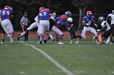 Enlarge photo 233