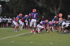 Enlarge photo 259