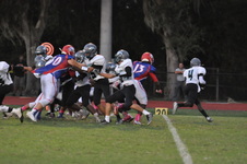 Enlarge photo 268