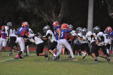Enlarge photo 270
