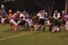 Enlarge photo 333