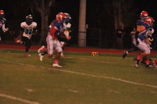 Enlarge photo 379