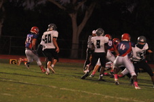 Enlarge photo 413