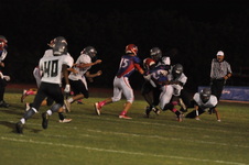 Enlarge photo 446