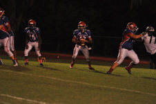 Enlarge photo 478